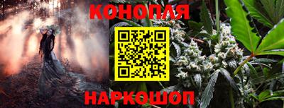 mdpv Будённовск