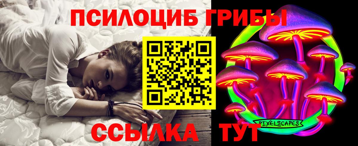 как найти закладки  Галлюциногенные грибы ЛСД  Псилоцибиновые грибы мицелий  Вход с VPN  Лесозаводск 